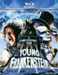 Young-Frankenstein{}